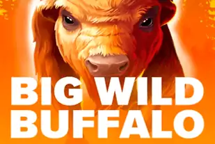 Big Wild Buffalo